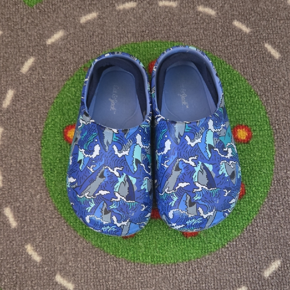Cat And Jack Shark Slides